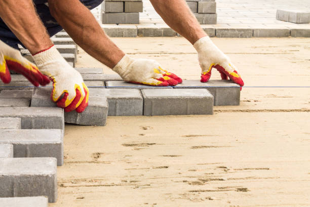 Best Driveway Paving Near Me  in Colfax, WI