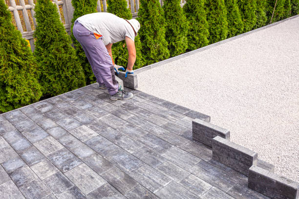 Best Driveway Repair Near Me  in Colfax, WI